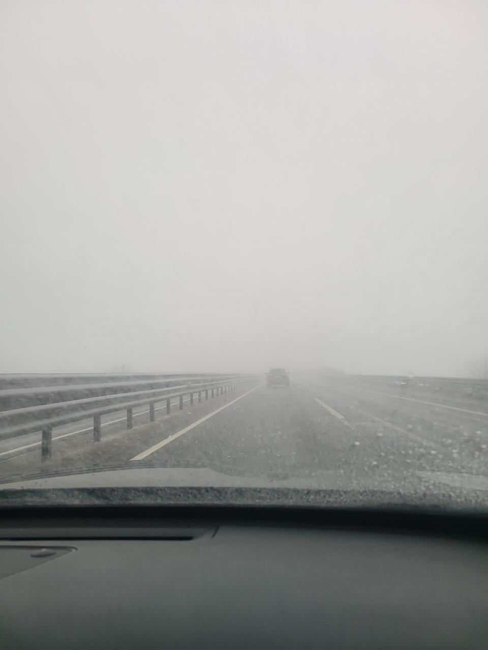 푸마 스니커즈 250