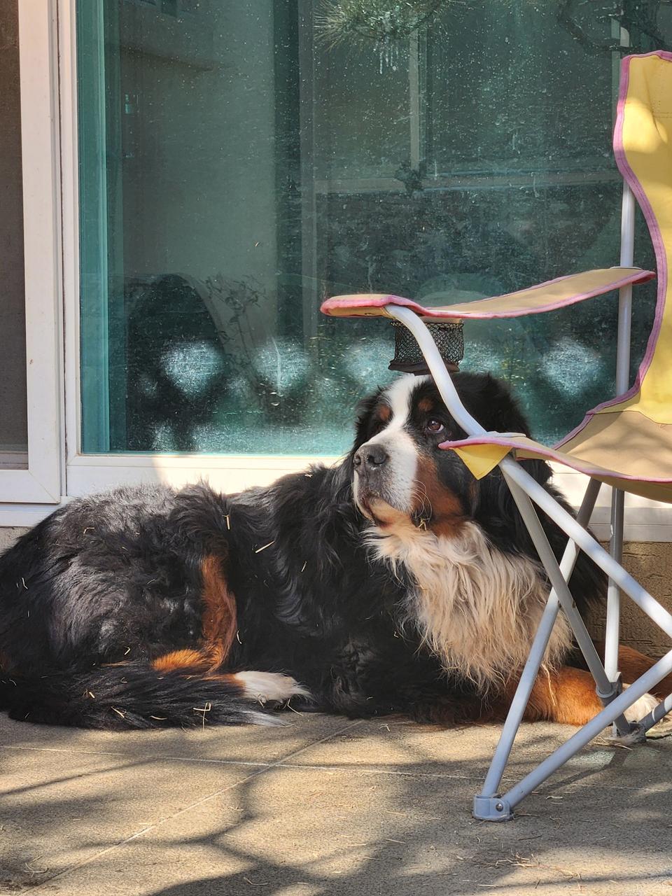 편의점 기프티콘