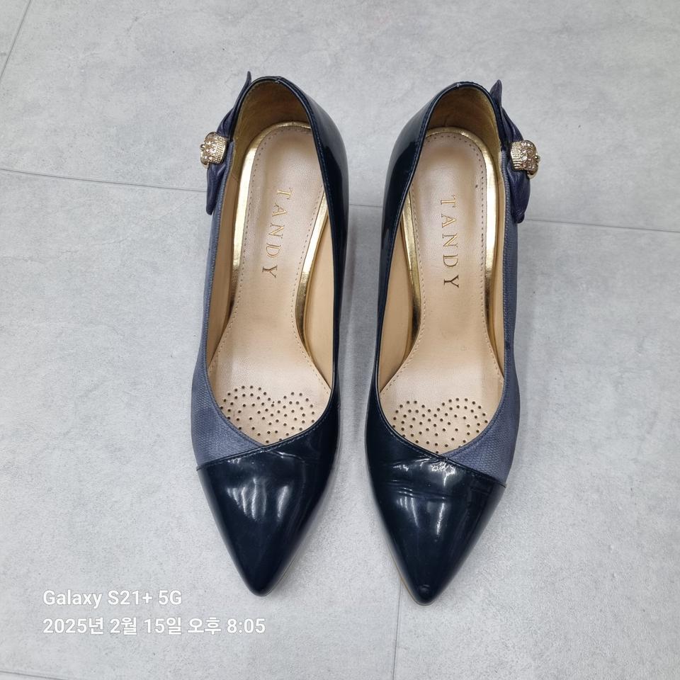 탠디 구두 245