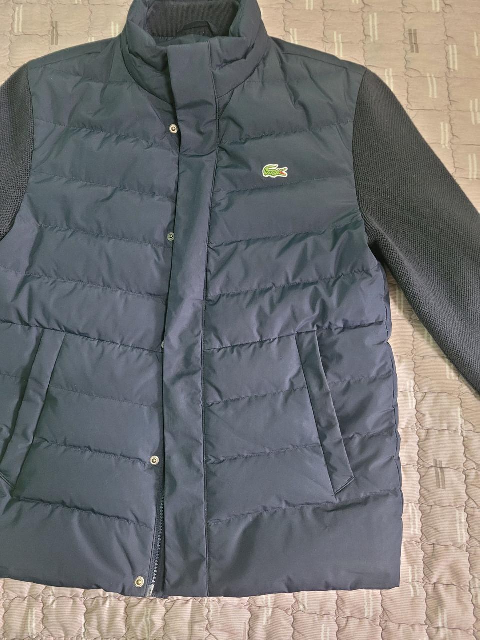 라코스테 하이브리드 니트패딩