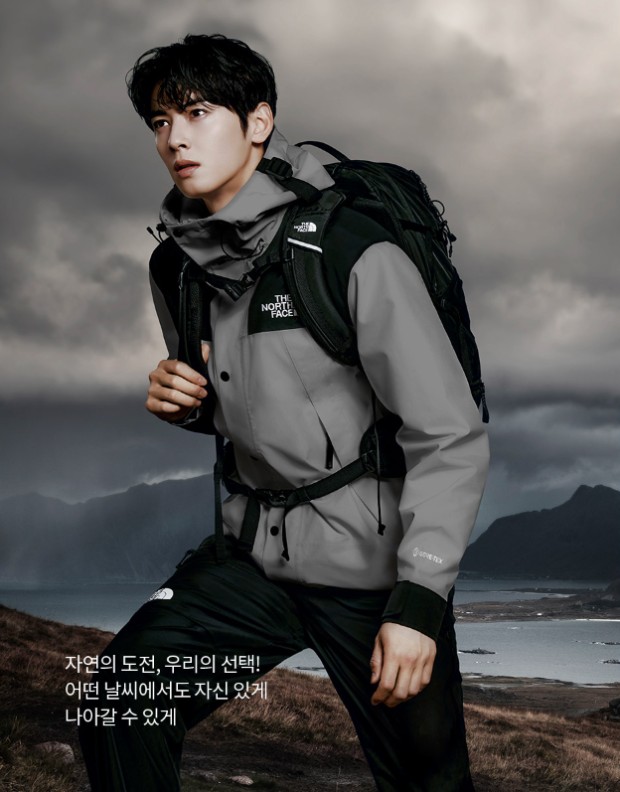 노스페이스 남성 에코마운틴 자켓 NJ2GQ50D 그레이 95 15만원