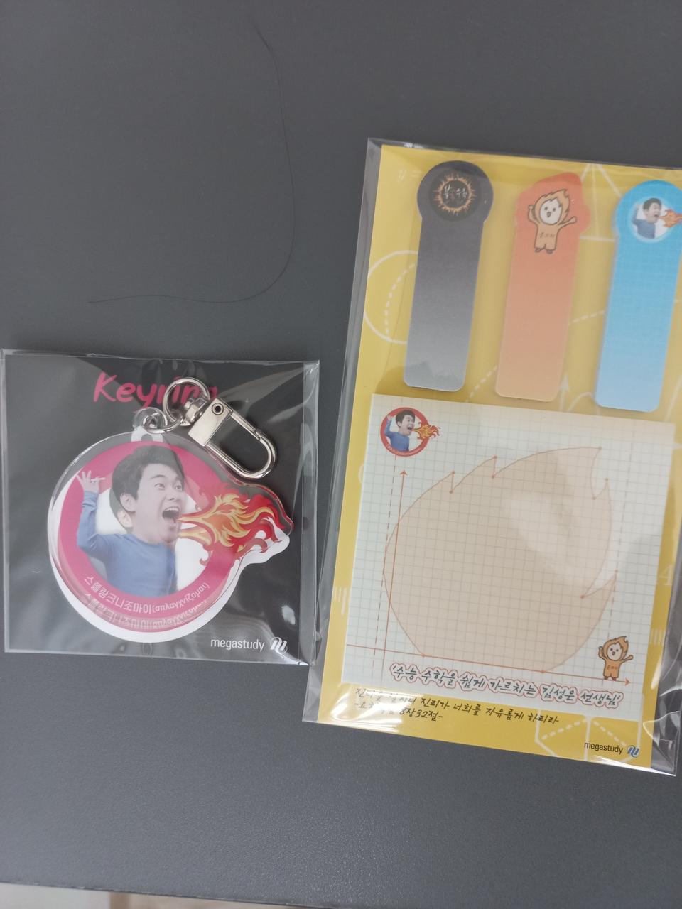 메가스터디 수능 수학 인강 김성은 불꽃 키링,불꽃 포스트잇,불꽃 오답노트