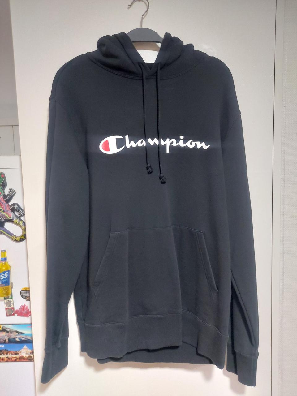 남녀 공용 챔피온 후드 105