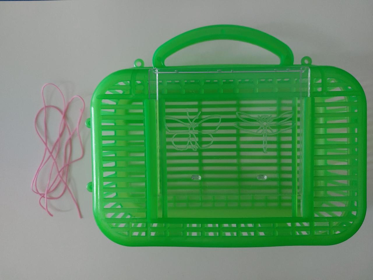 2000년대 초반 옛날 곤충 체집통 팝니다 (무료배송)