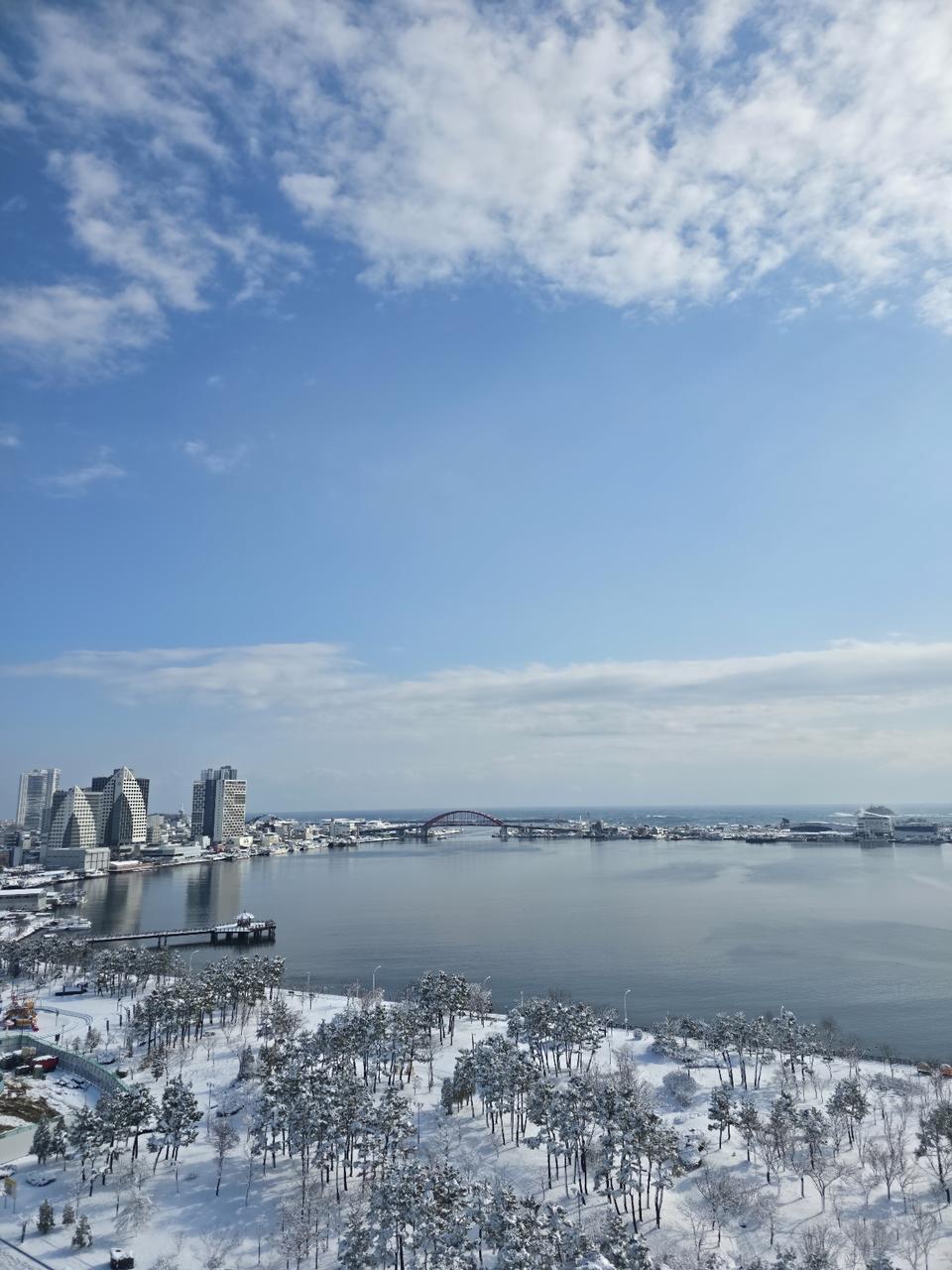 2024년 청첩 부고 경조사자료 200