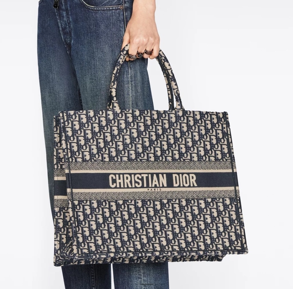 디올 북도트 라지 상트 좋음