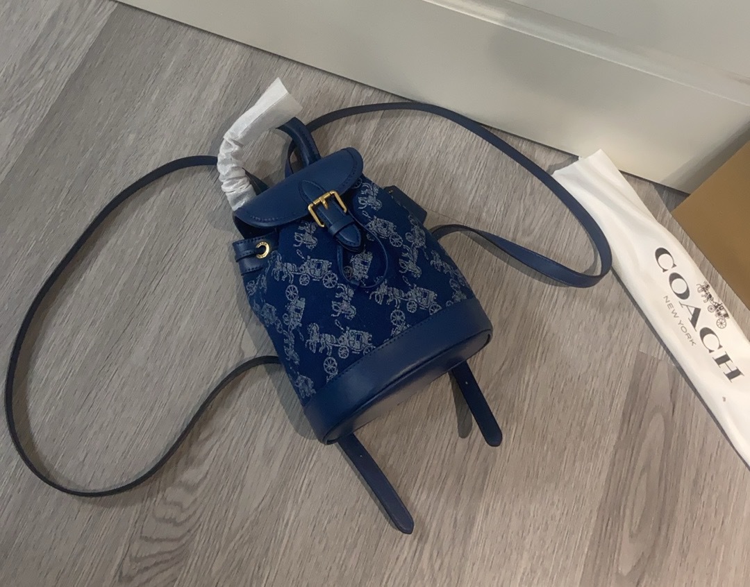 코치 신상 CAM31 Harper mini 백팩