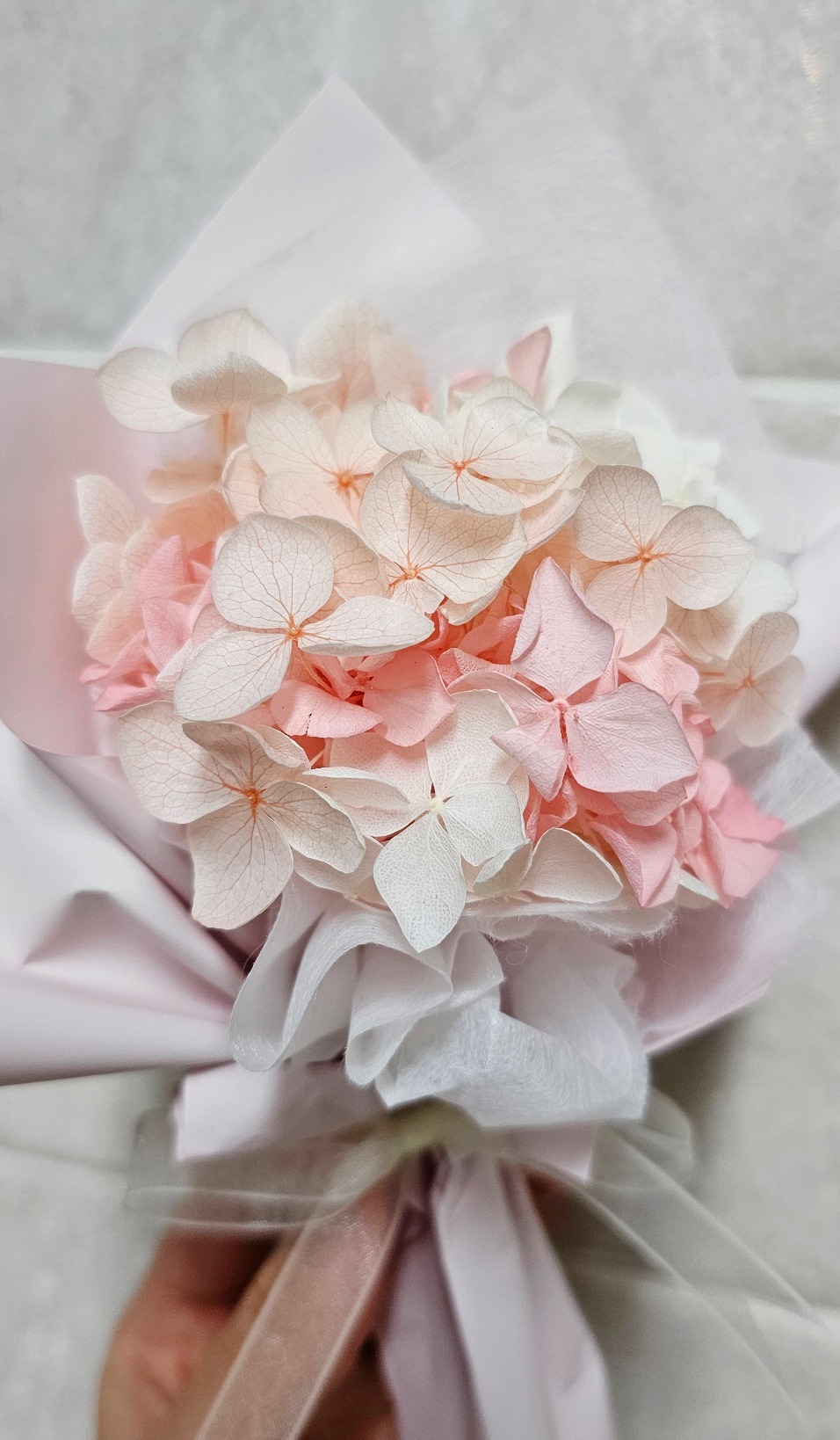 프리저브드 미니 수국 꽃다발 플라워 (그라데이션)