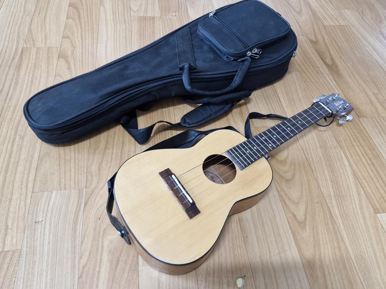 리치뮤직 Etude-c 우쿨렐레 소형 통기타 악기