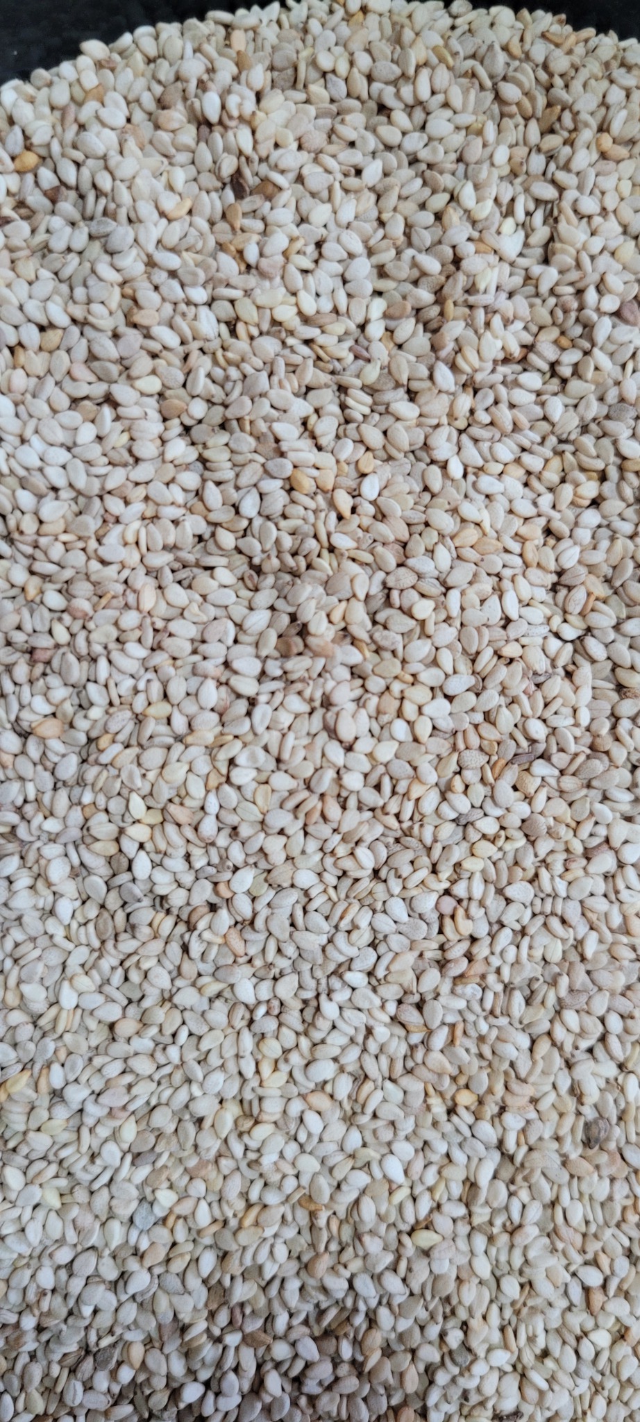 고향으로 귀촌해 어머님과함께  재배해 손수 선별한 농산물들~~