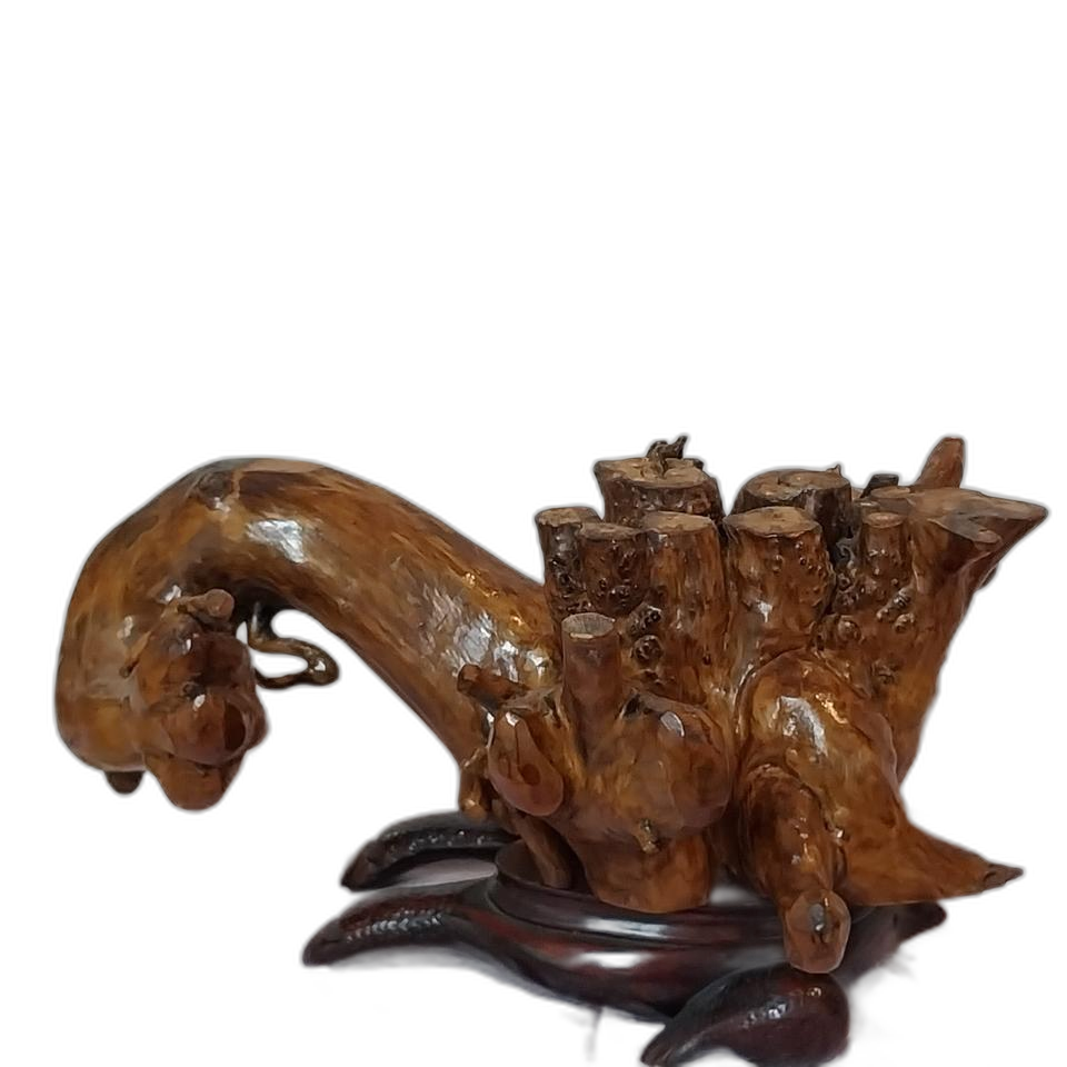 통 나무 뿌리 장식품