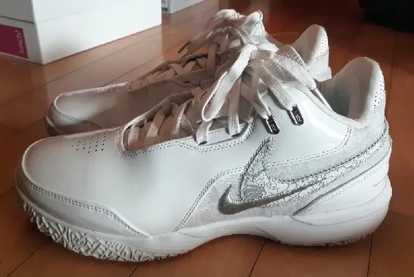 나이키 르브론 NXXT 넥스트젠 AMPD 275 FJ1567-102