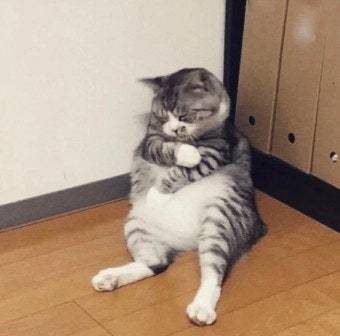 정민님 카결창ㅇ