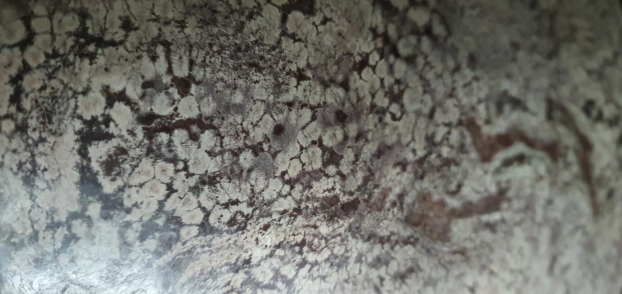 모거나이트수석