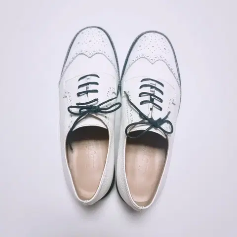 로이크 로퍼 loyiq