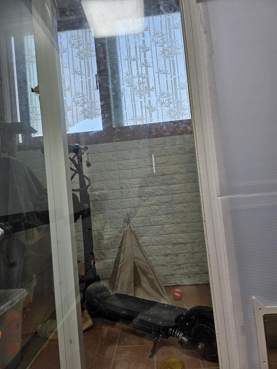 전동킥보드 대전