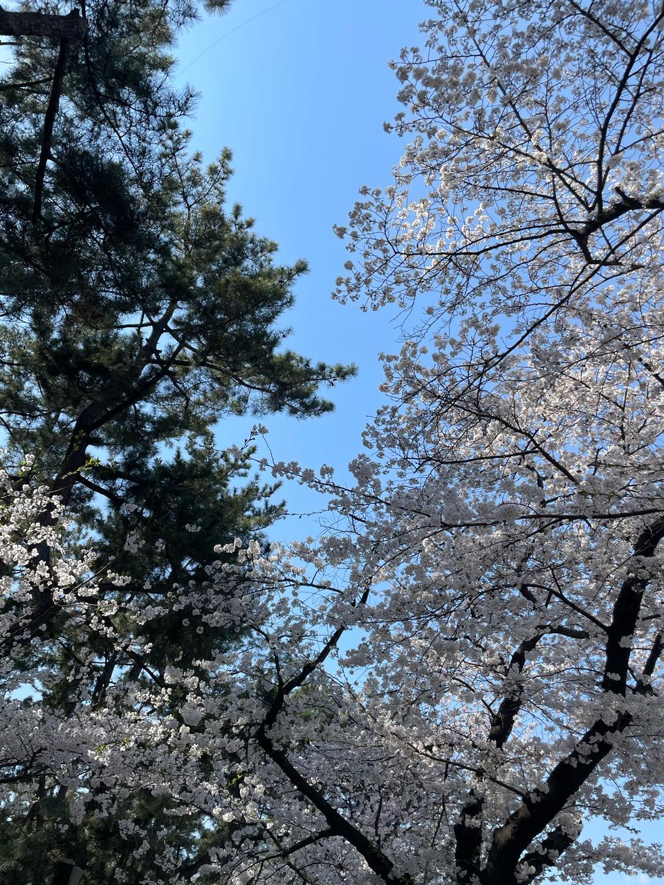 영화나 드라마원하는거 판매 (오천원)