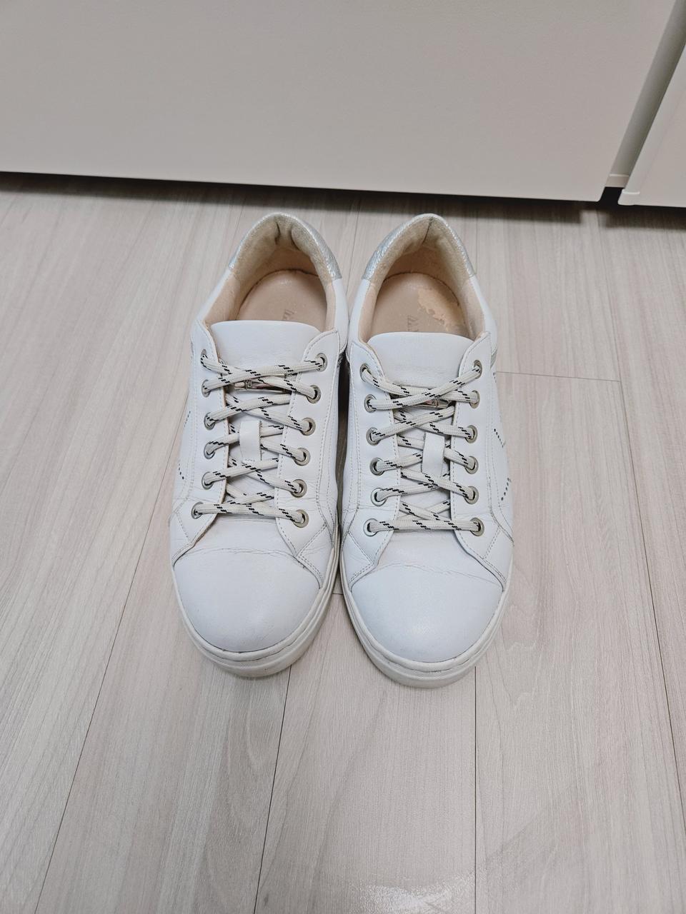 탠디 여성 스니커즈 235