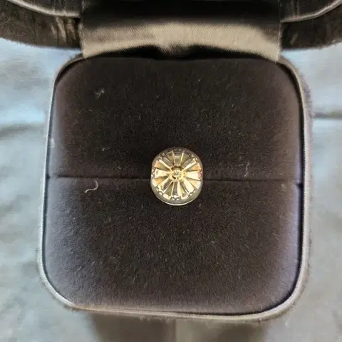 판도라 콤비 데이지 참