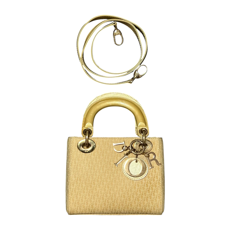 디올 레이디백 미니 골드 오블리크