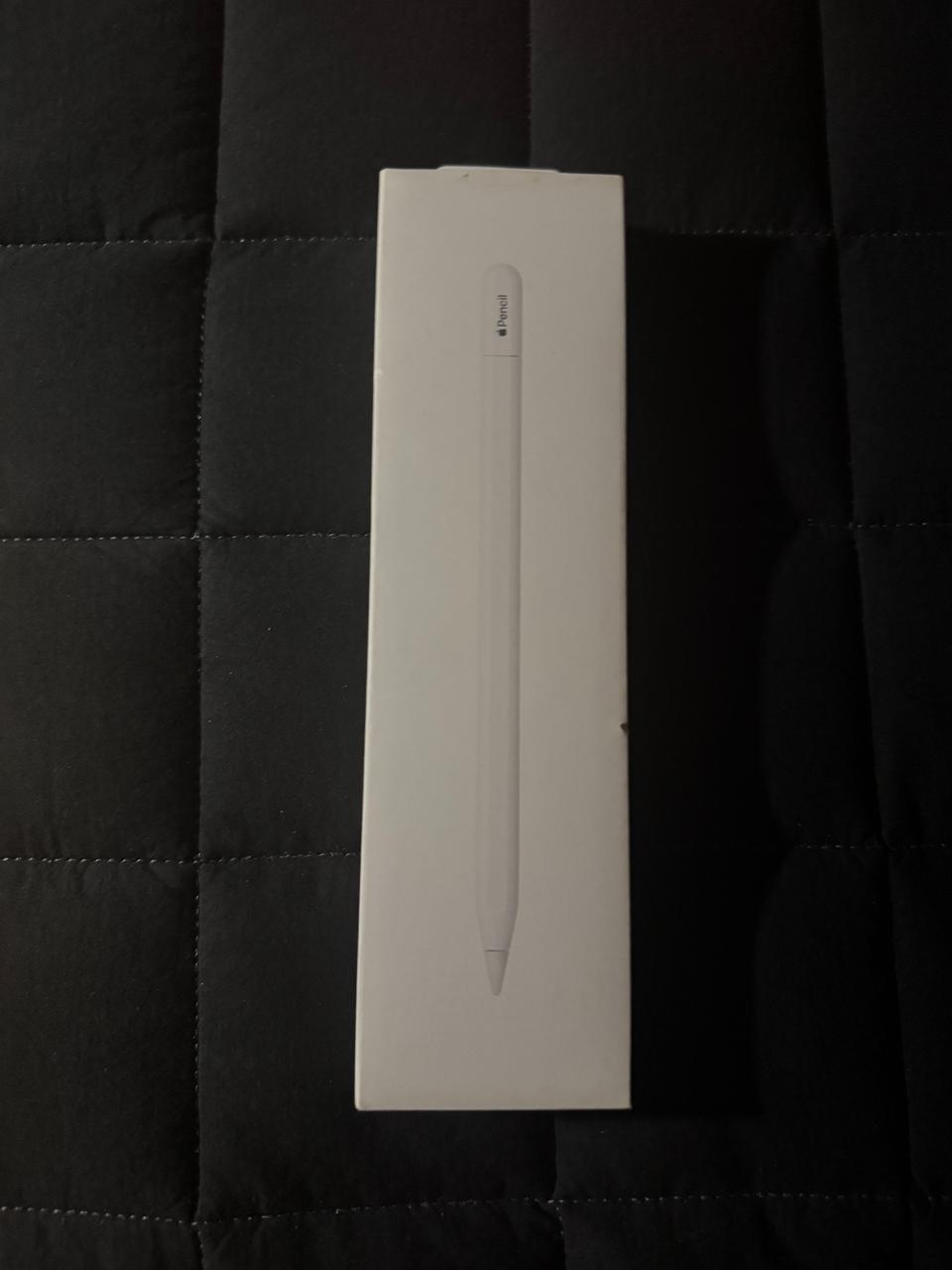 애플펜슬 (USB-C)