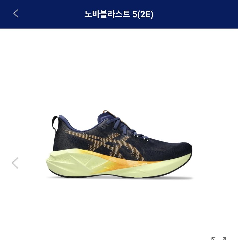 아식스 노바블라스트5(2E) 280