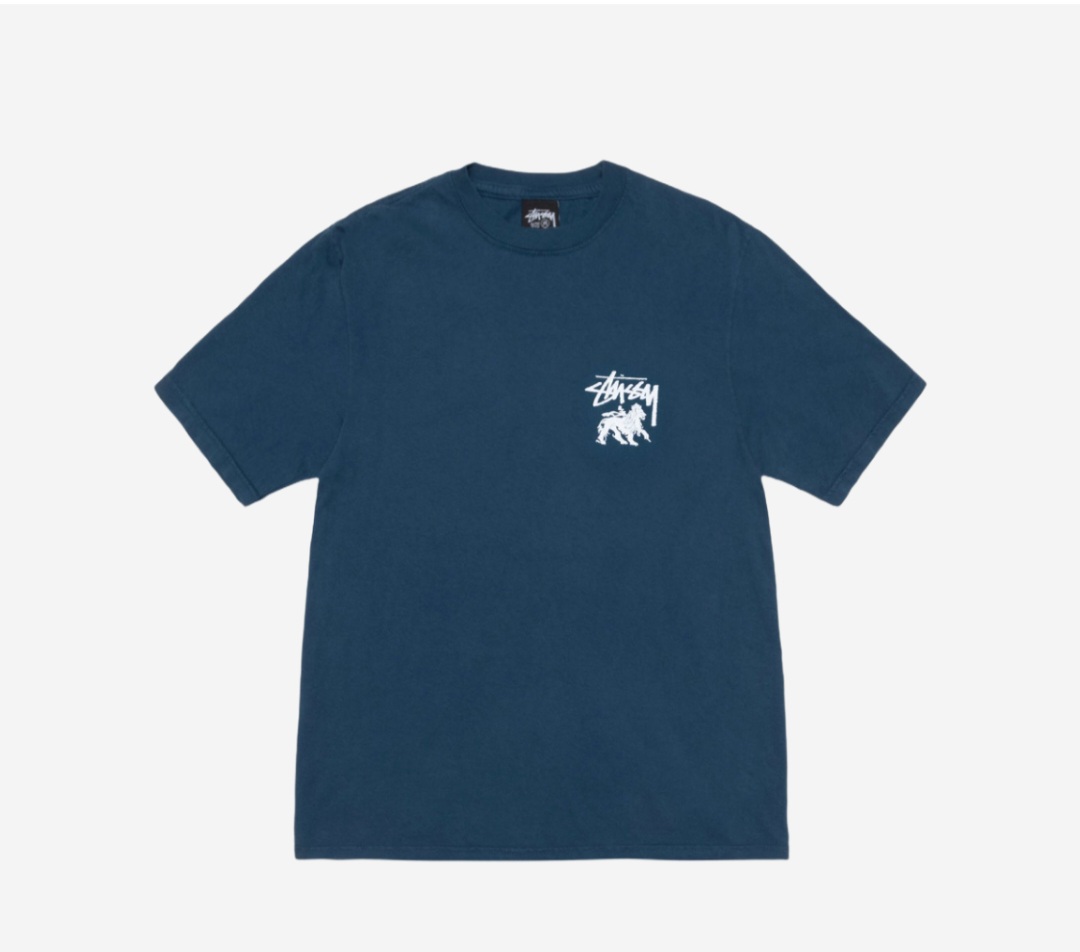 스투시 라어온 피그먼트 데이드 티