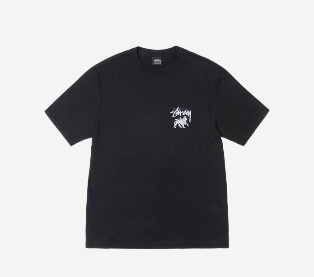 스투시 스무스 스탁 피그먼트 데이드 티