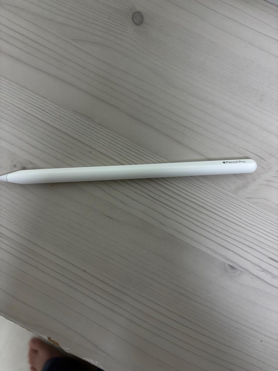 애플펜슬 프로