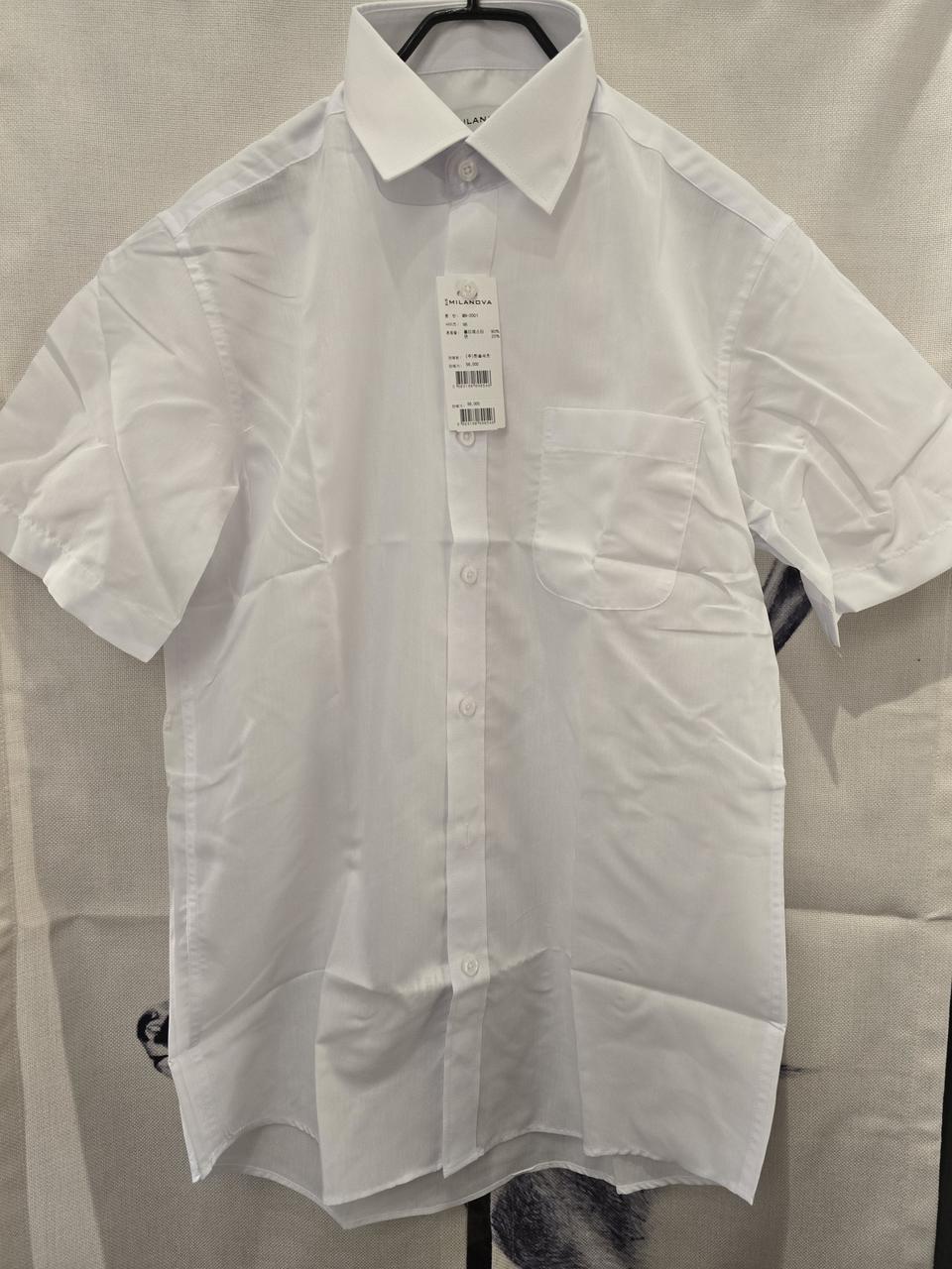 mILANOVA반팔셔츠