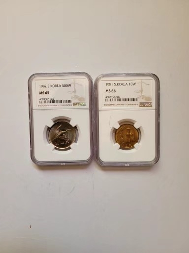 81년10주,82년500주