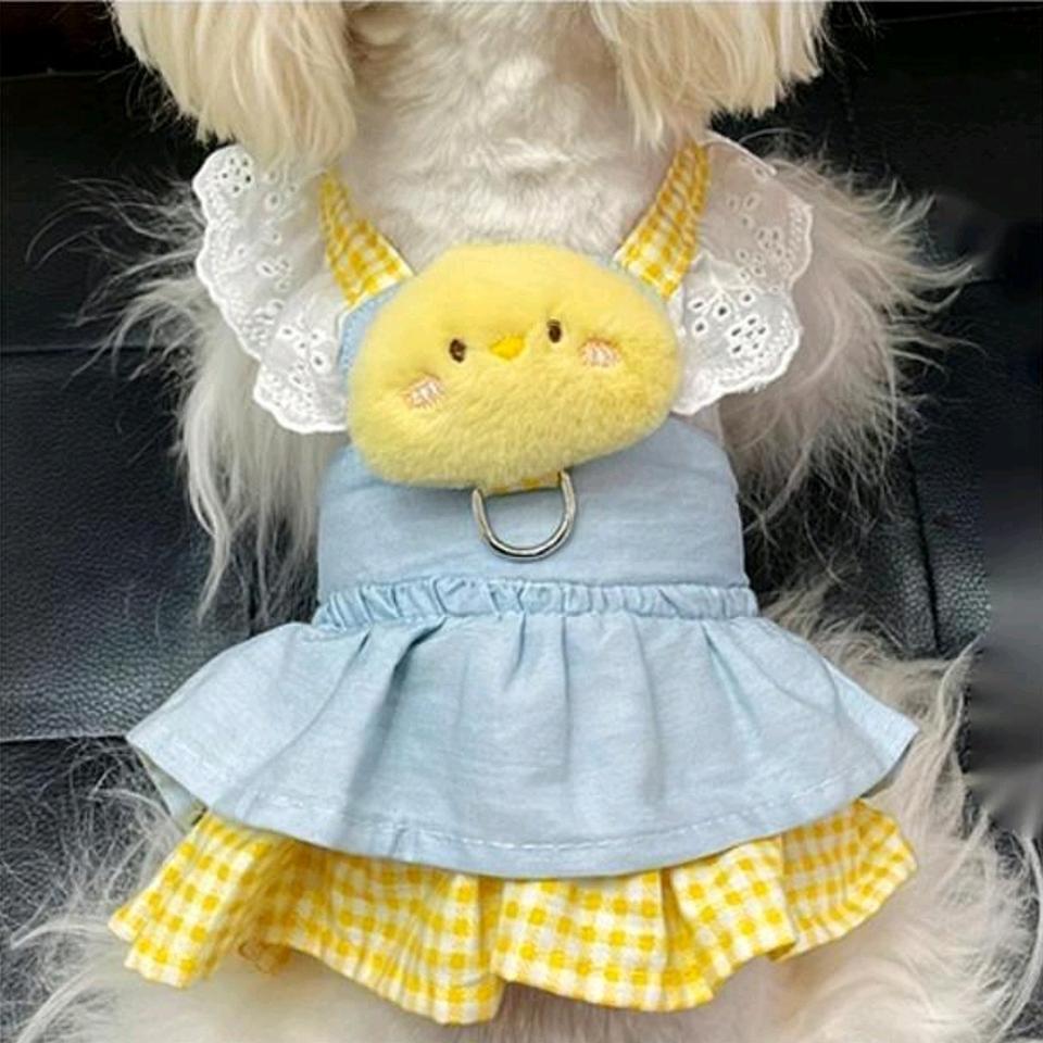 강아지 고양이 하네스