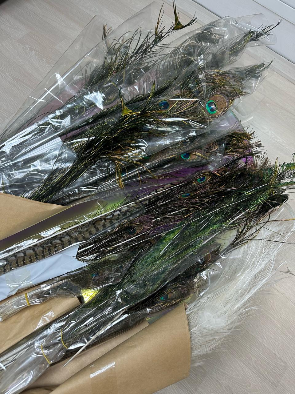 천연 공작새 깃털(새상품)약100개~100개이상