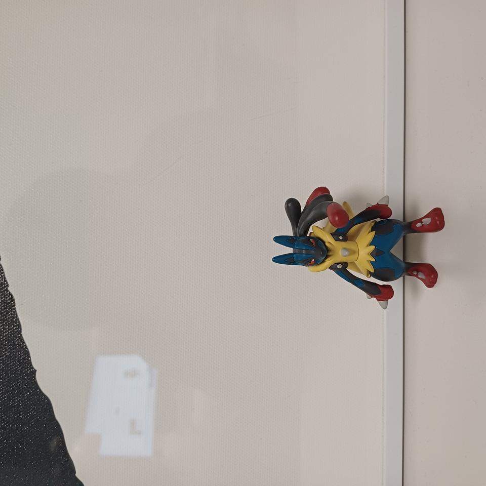 몬콜레 ESP 메가루카리오 파격적인 가격!! 먼저 담아가세요~