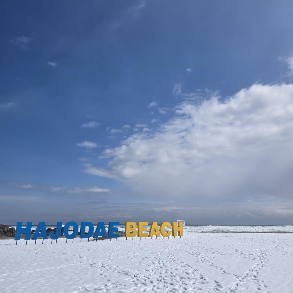 2024년 청첩장 경조사자료 20장