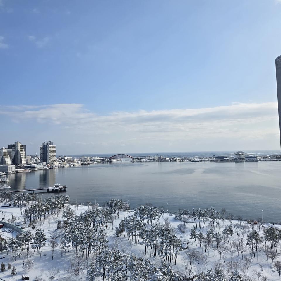 2025년 경조사자료 청첩장 부고장 50 판매