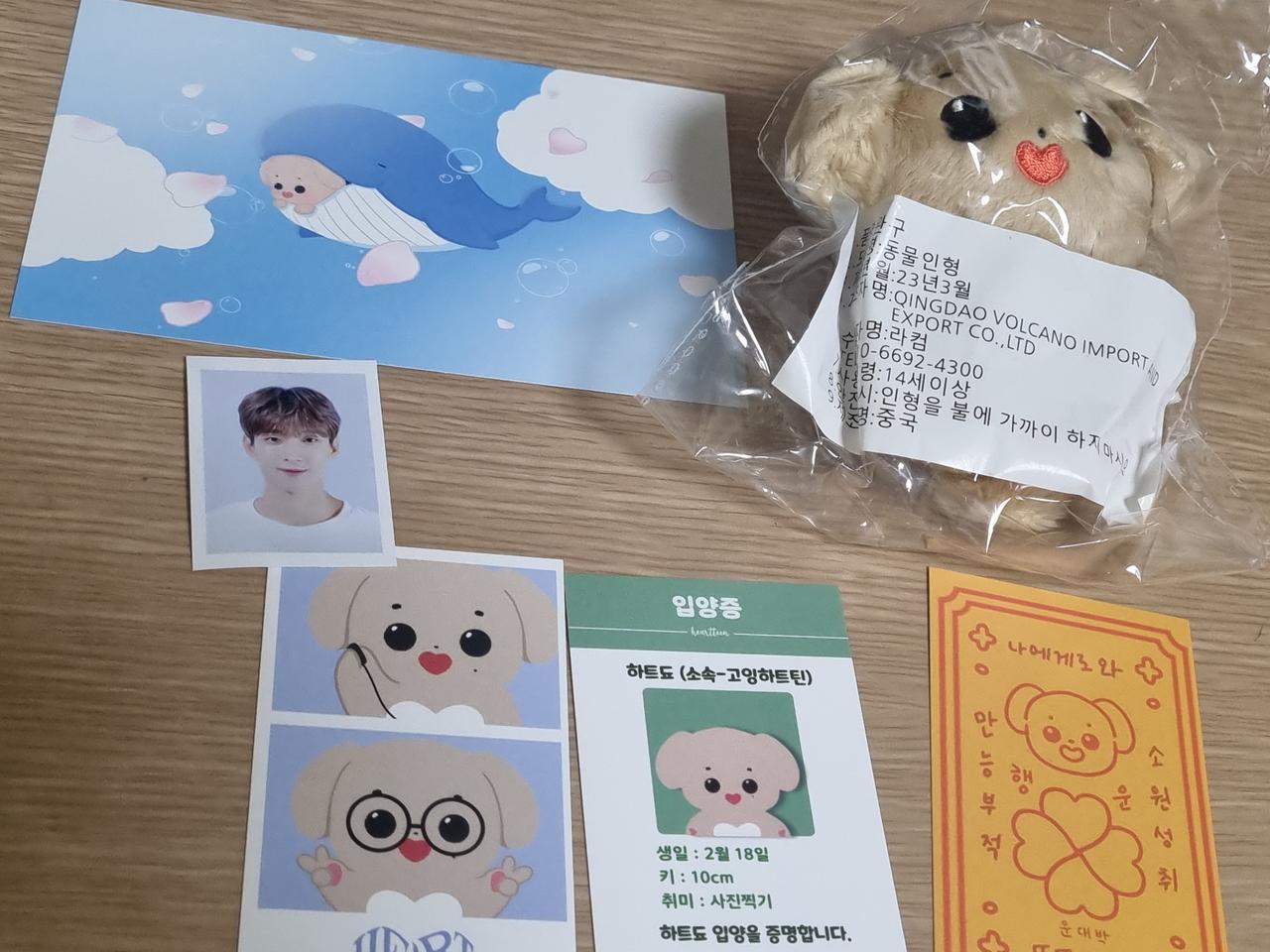 고잉틴 세븐틴 도겸 인형 하트됴