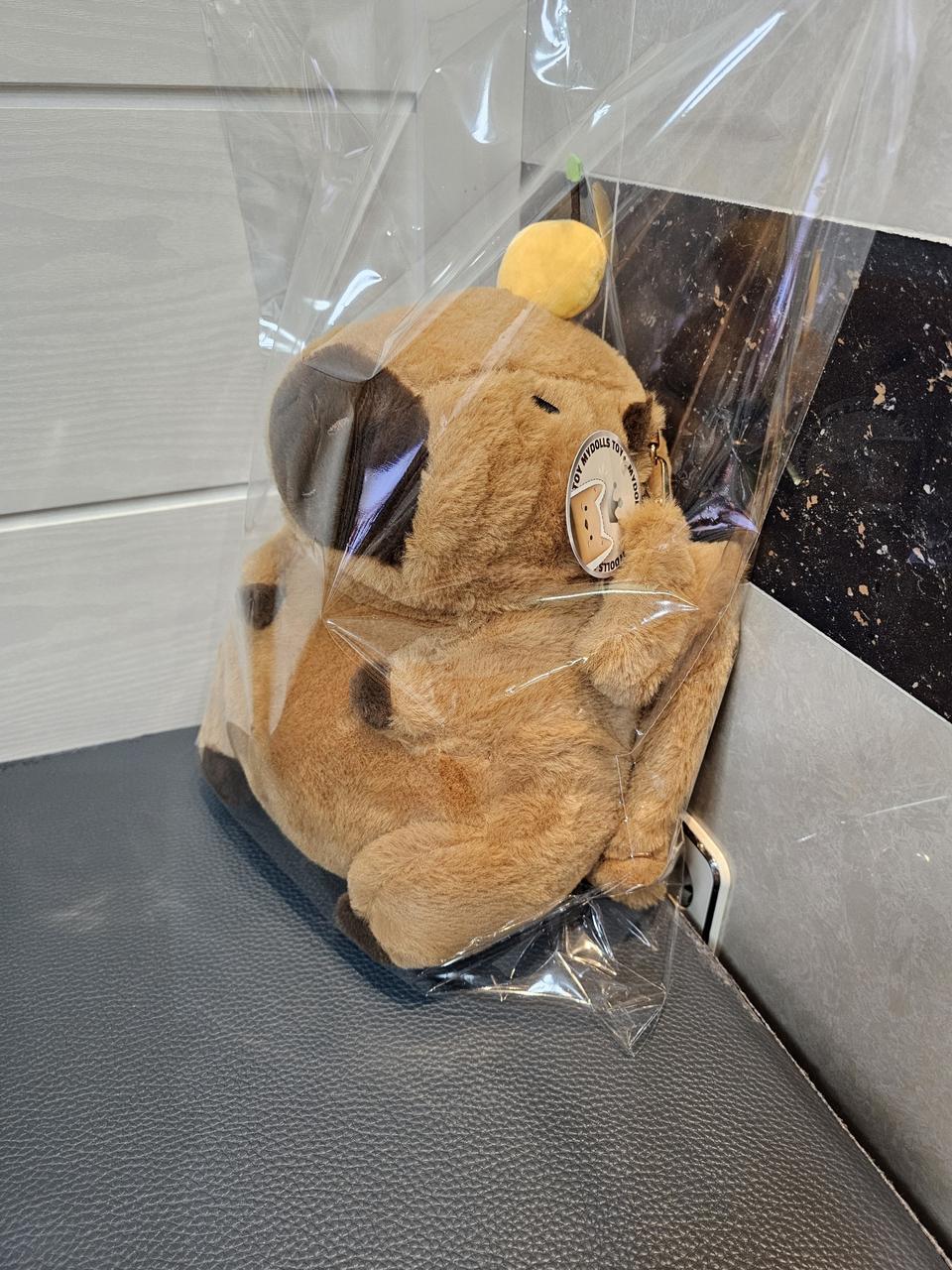 귀여운 카피바라 인형 가방 백팩 새거 팔아요