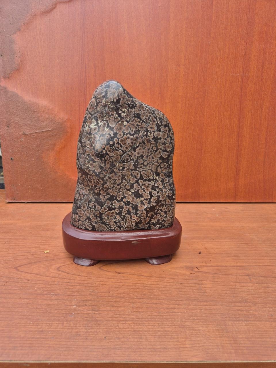 청송꽃돌 홍매 22. 16. 9