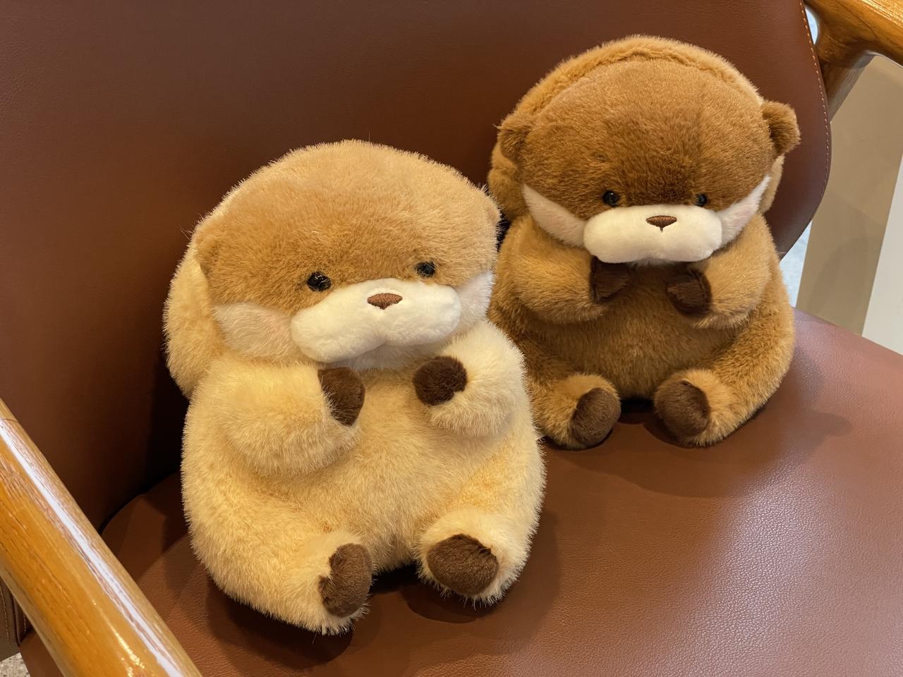 [정품, 수수료무료] 속았지 우소우소짱 인형