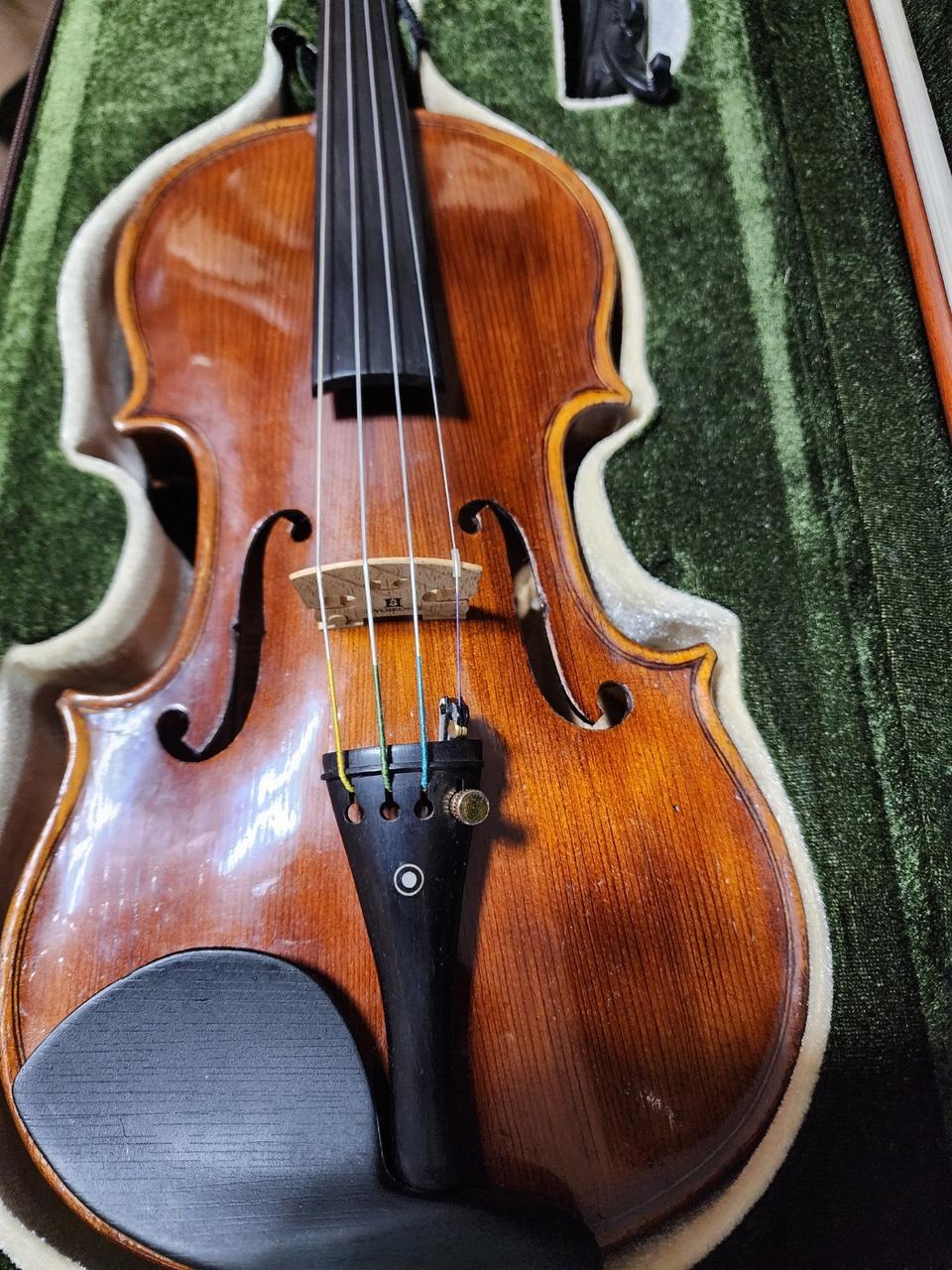 1/2 효정 250호 도미넌트현