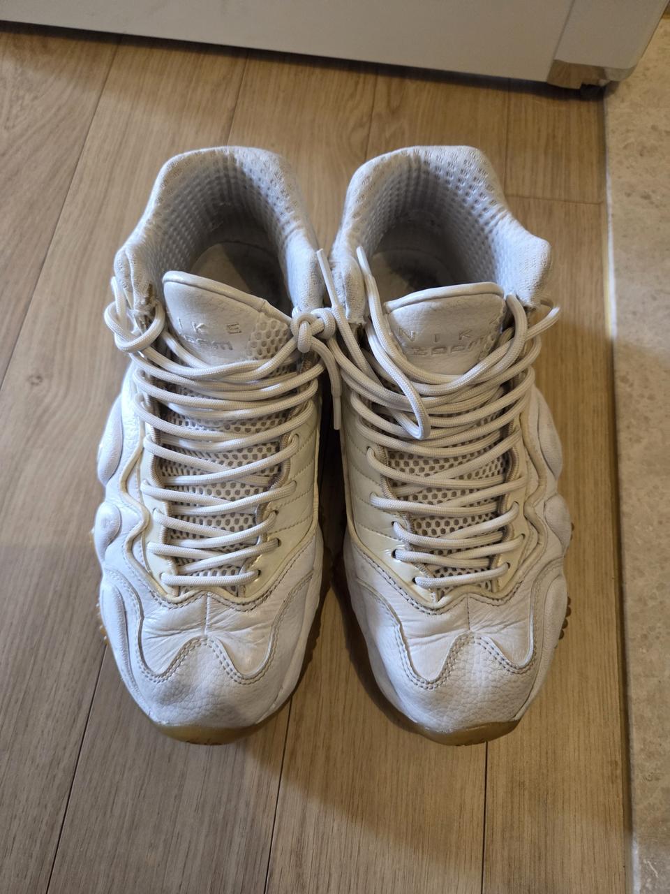 나이키줌업템포245