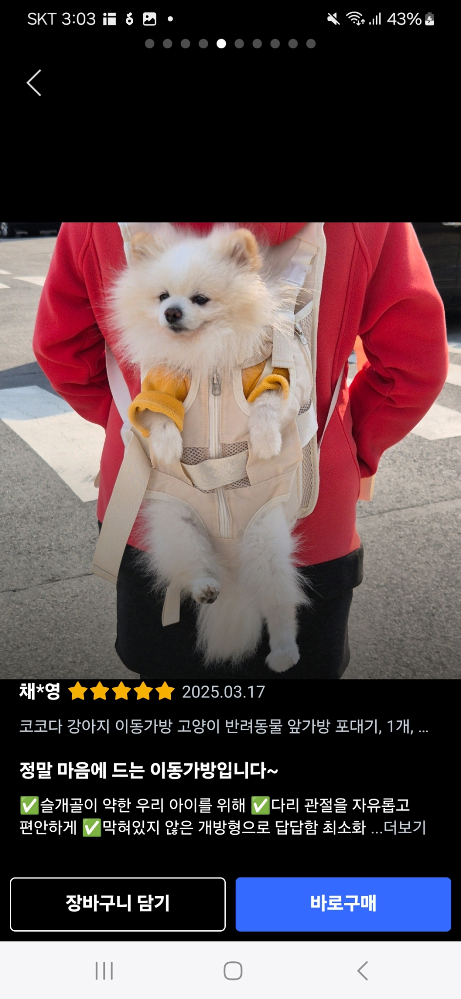 강아지 반려견/묘 이동가방 새것