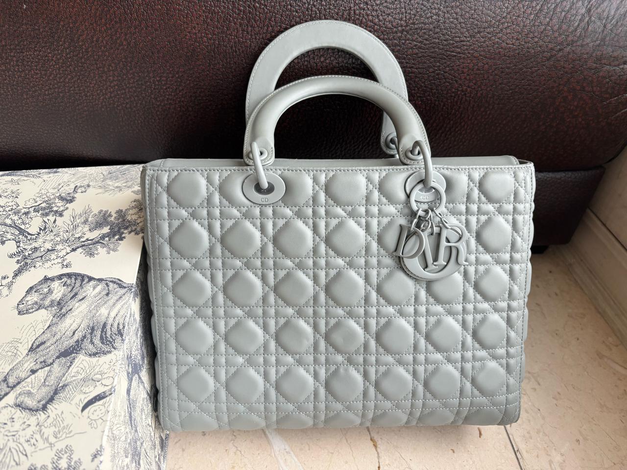 디올 레이디백 (풀박)