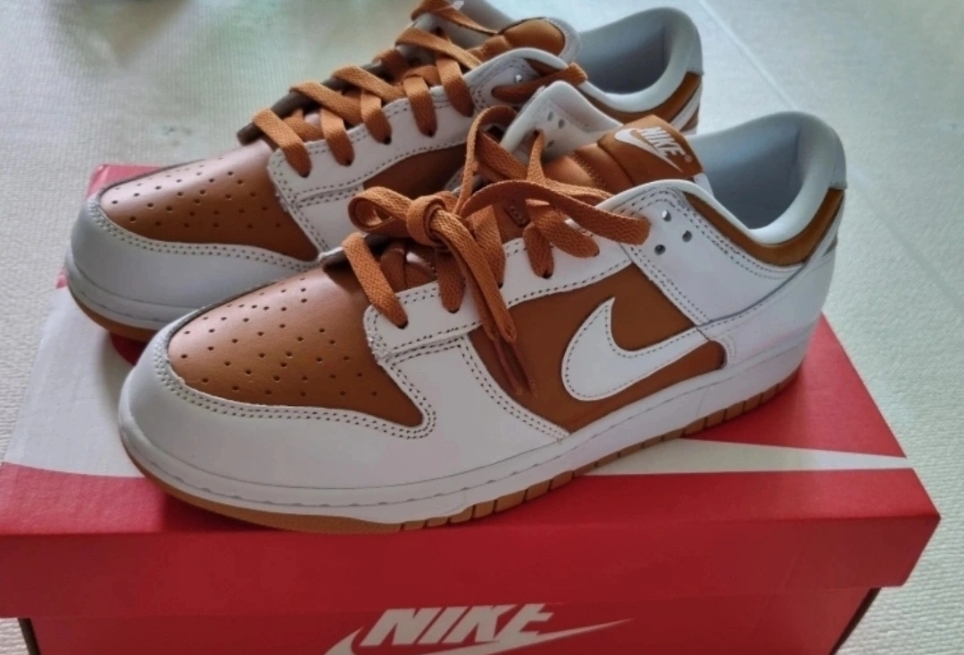 나이키 덩크 로우  남성 운동화 사이즈270