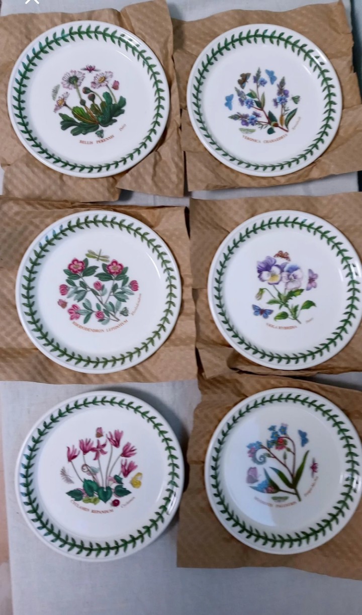 포트메리온  보타닉가든  브레드D형6p가격