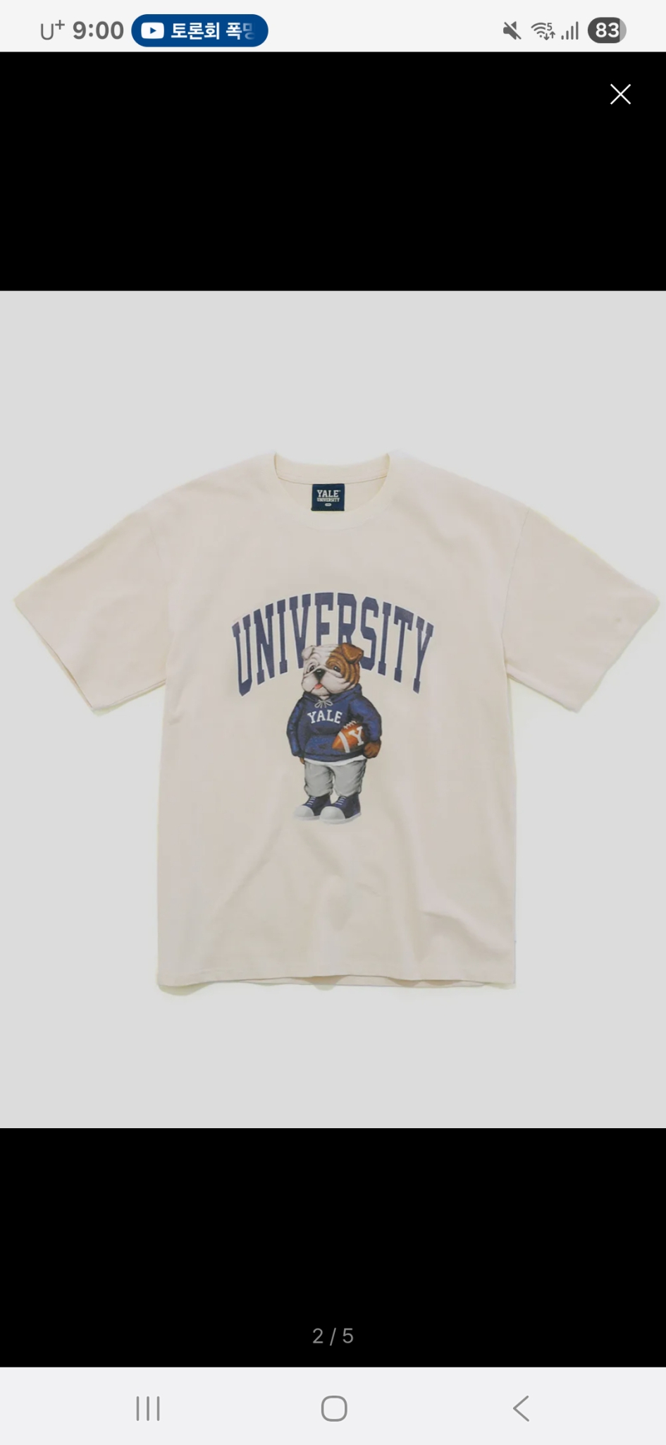 예일 불독 티셔츠L 아이보리