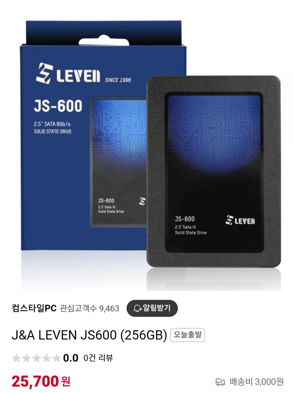 LEVEII JS-600 256GB SSD 새상품