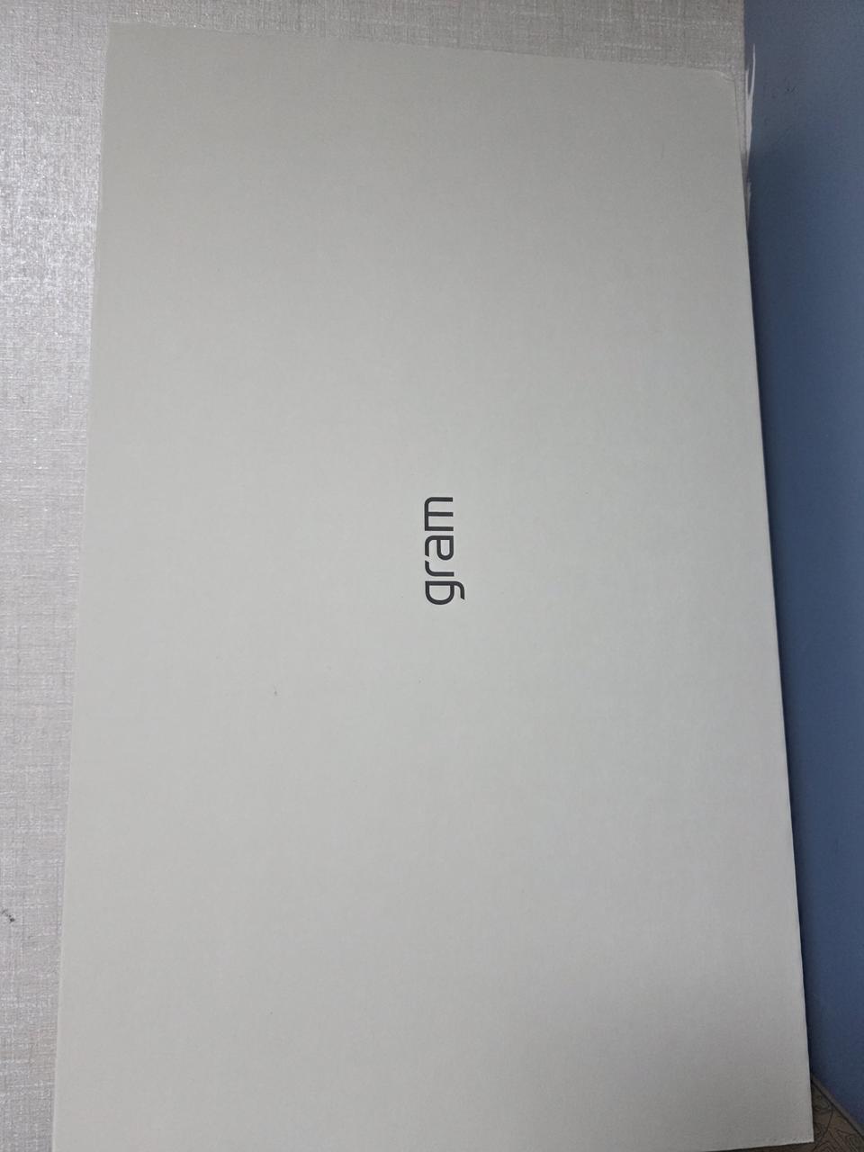 LG gram pro 17 급처