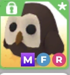 입양하세요 메가 부엉이